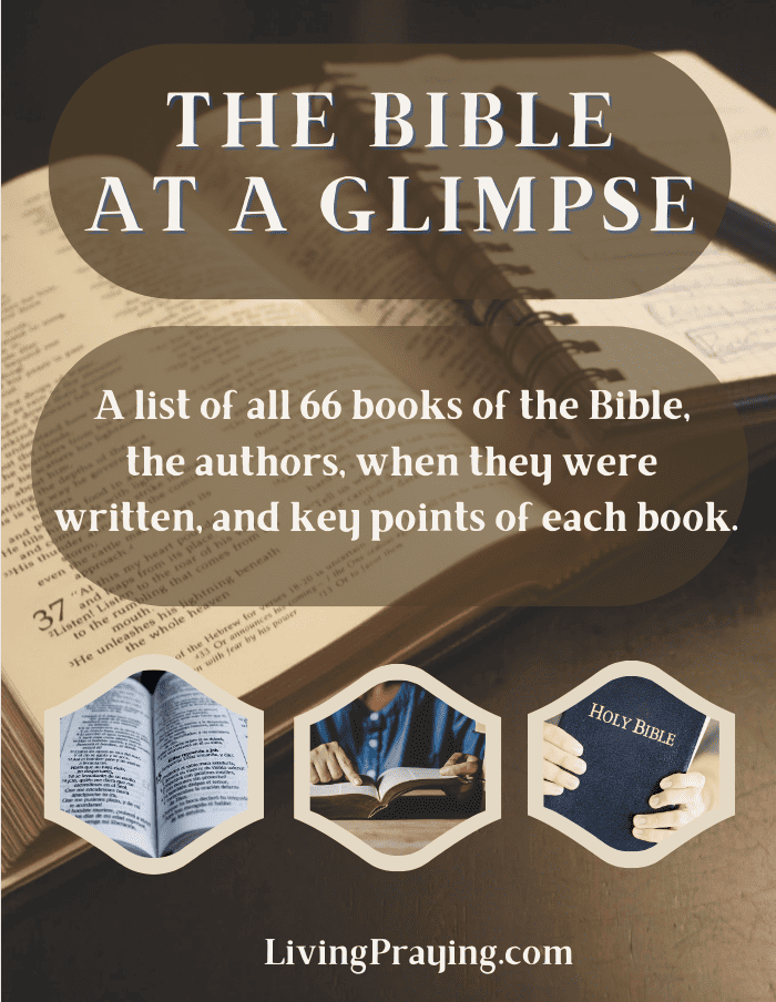 best Bible for beginners - Bible glimpse book