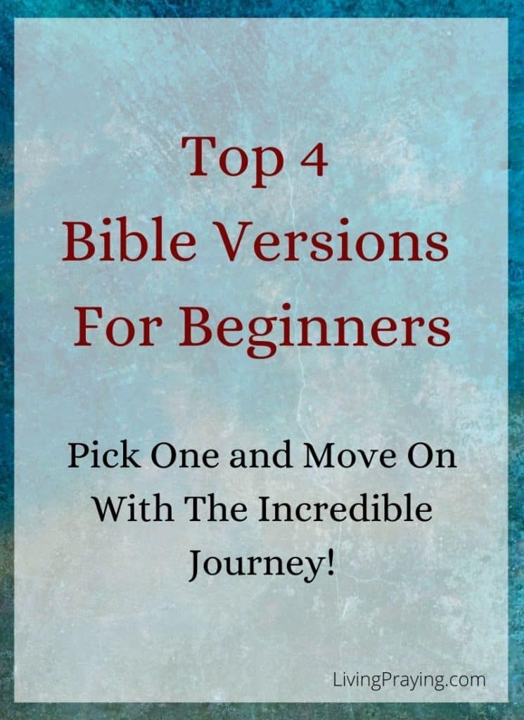 top 4 best bibles for beginners