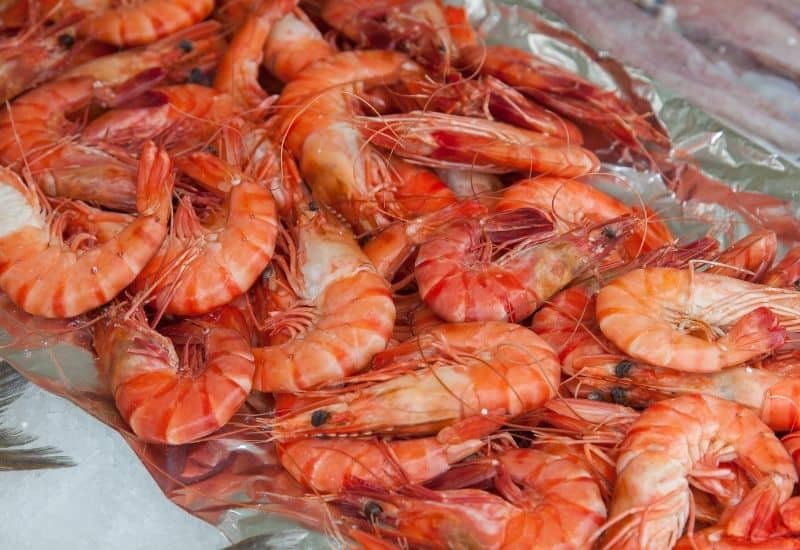 can christians eat shrimp boiled