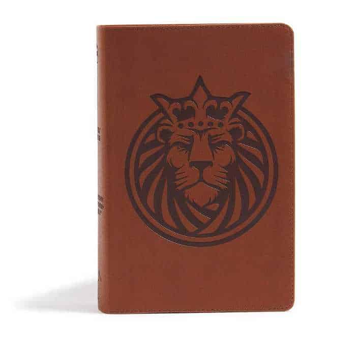 csb lion best Bible for kids