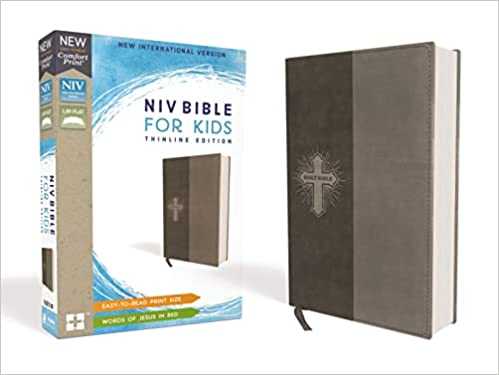 bible for kids