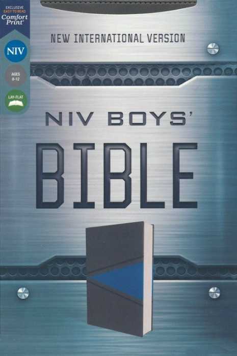 boys NIV best Bible for kids