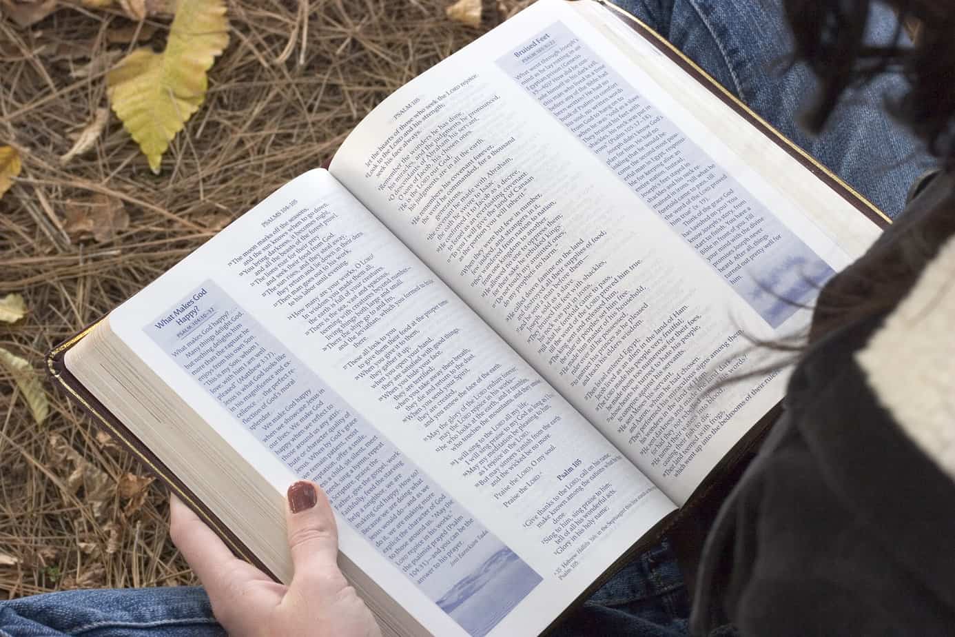 reading the Bible is chronological order - bible buyers guide