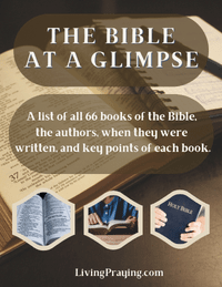 best Bible for beginners Bible at a glimpse