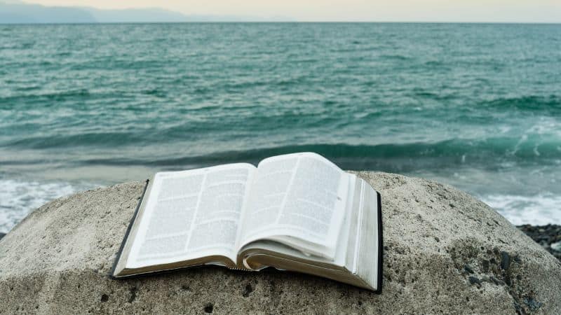 best study bibles for beginners