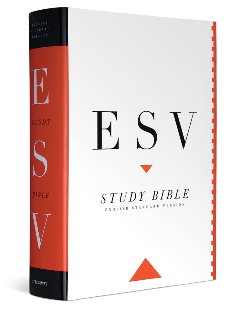 best study bibles for beginners
