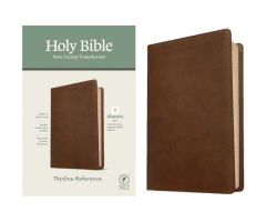 best bible for beginners