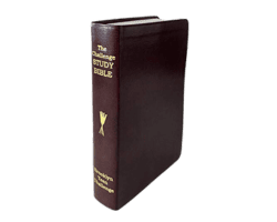 best bible for beginners CEV