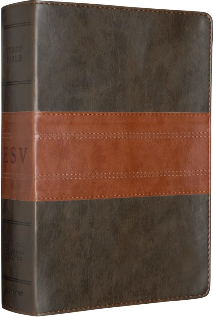 esv brown best study Bibles for young adults