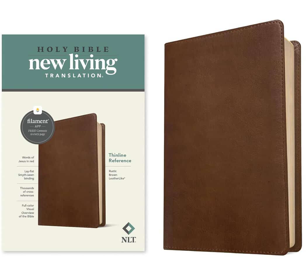 What Are the Best Bibles for Beginners? A Guide for