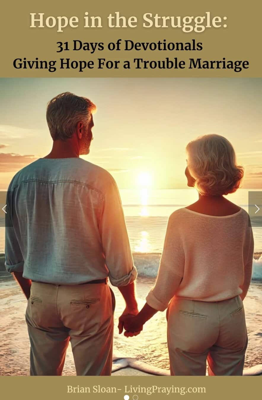 Hope in the Struggle – 31 Day devotional for hurting marriages
