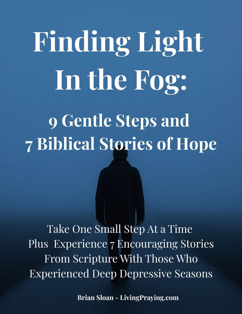 9 Practical Strategies to Cut Through the Fog of Depression book cover